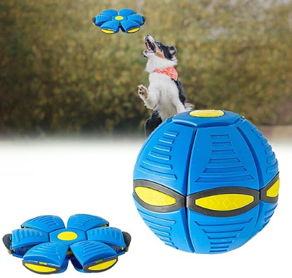 Pelota Juguete Perro Voladora